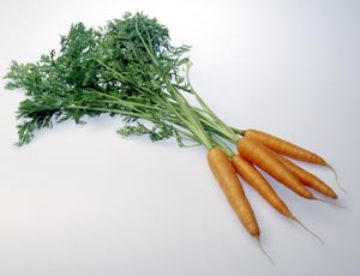 0,5 kg pesty porkkana