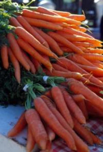 Porkkana 3 kg